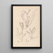 Herbier de la flore française Pl0402 - Louis Antoine Cusin — quadro incorniciato alla parete