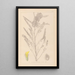 Herbier de la flore française Pl0407 - Louis Antoine Cusin — quadro incorniciato alla parete