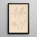 Herbier de la flore française Pl0409 - Louis Antoine Cusin — quadro incorniciato alla parete