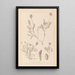 Herbier de la flore française Pl0411 - Louis Antoine Cusin — quadro incorniciato alla parete
