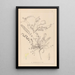 Herbier de la flore française Pl0418 - Louis Antoine Cusin — quadro incorniciato alla parete