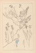 Herbier de la flore française Pl0431 - Louis Antoine Cusin — vista dell’opera