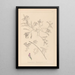 Herbier de la flore française Pl0435 - Louis Antoine Cusin — quadro incorniciato alla parete