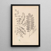 Herbier de la flore française Pl0437 - Louis Antoine Cusin — quadro incorniciato alla parete