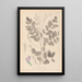 Herbier de la flore française Pl0439 - Louis Antoine Cusin — quadro incorniciato alla parete