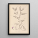 Herbier de la flore française Pl0443 - Louis Antoine Cusin — quadro incorniciato alla parete