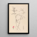 Herbier de la flore française Pl0447 - Louis Antoine Cusin — quadro incorniciato alla parete