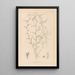 Herbier de la flore française Pl0453 - Louis Antoine Cusin — quadro incorniciato alla parete