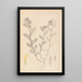Herbier de la flore française Pl0454 - Louis Antoine Cusin — quadro incorniciato alla parete
