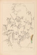 Herbier de la flore française Pl0455 - Louis Antoine Cusin — vista dell’opera