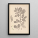 Herbier de la flore française Pl0457 - Louis Antoine Cusin — quadro incorniciato alla parete