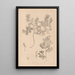 Herbier de la flore française Pl0463 - Louis Antoine Cusin — quadro incorniciato alla parete