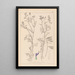 Herbier de la flore française Pl0464 - Louis Antoine Cusin — quadro incorniciato alla parete