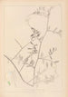 Herbier de la flore française Pl0466 - Louis Antoine Cusin — vista dell’opera