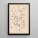 Herbier de la flore française Pl0480 - Louis Antoine Cusin — quadro incorniciato alla parete