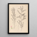Herbier de la flore française Pl0487 - Louis Antoine Cusin — quadro incorniciato alla parete