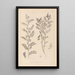 Herbier de la flore française Pl0490 - Louis Antoine Cusin — quadro incorniciato alla parete