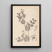 Herbier de la flore française Pl0491 - Louis Antoine Cusin — quadro incorniciato alla parete