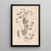 Herbier de la flore française Pl0492 - Louis Antoine Cusin — quadro incorniciato alla parete