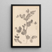 Herbier de la flore française Pl0493 - Louis Antoine Cusin — quadro incorniciato alla parete