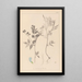 Herbier de la flore française Pl0511 - Louis Antoine Cusin — quadro incorniciato alla parete