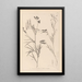 Herbier de la flore française Pl0516 - Louis Antoine Cusin — quadro incorniciato alla parete