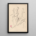 Herbier de la flore française Pl0523 - Louis Antoine Cusin — quadro incorniciato alla parete