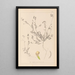 Herbier de la flore française Pl0541 - Louis Antoine Cusin — quadro incorniciato alla parete