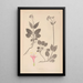 Herbier de la flore française Pl0687 - Louis Antoine Cusin — quadro incorniciato alla parete
