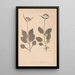 Herbier de la flore française Pl0688 - Louis Antoine Cusin — quadro incorniciato alla parete
