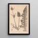 Herbier de la flore française Pl0710 - Louis Antoine Cusin — quadro incorniciato alla parete