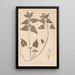 Herbier de la flore française Pl0830 - Louis Antoine Cusin — quadro incorniciato alla parete