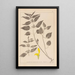 Herbier de la flore française Pl0832 - Louis Antoine Cusin — quadro incorniciato alla parete