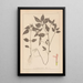 Herbier de la flore française Pl0841 - Louis Antoine Cusin — quadro incorniciato alla parete