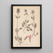 Herbier de la flore française Pl0861 - Louis Antoine Cusin — quadro incorniciato alla parete