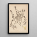 Herbier de la flore française Pl0873 - Louis Antoine Cusin — quadro incorniciato alla parete