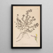 Herbier de la flore française Pl0903 - Louis Antoine Cusin — quadro incorniciato alla parete