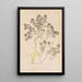 Herbier de la flore française Pl0912 - Louis Antoine Cusin — quadro incorniciato alla parete