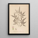 Herbier de la flore française Pl0918 - Louis Antoine Cusin — quadro incorniciato alla parete