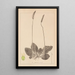 Herbier de la flore française Pl0923 - Louis Antoine Cusin — quadro incorniciato alla parete