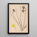Herbier de la flore française Pl0970 - Louis Antoine Cusin — quadro incorniciato alla parete