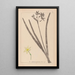 Herbier de la flore française Pl0971 - Louis Antoine Cusin — quadro incorniciato alla parete