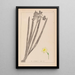Herbier de la flore française Pl0973 - Louis Antoine Cusin — quadro incorniciato alla parete