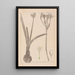 Herbier de la flore française Pl0981 - Louis Antoine Cusin — quadro incorniciato alla parete