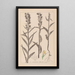 Herbier de la flore française Pl0984 - Louis Antoine Cusin — quadro incorniciato alla parete