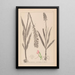 Herbier de la flore française Pl1002 - Louis Antoine Cusin — quadro incorniciato alla parete
