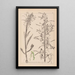 Herbier de la flore française Pl1016 - Louis Antoine Cusin — quadro incorniciato alla parete