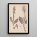 Herbier de la flore française Pl1017 - Louis Antoine Cusin — quadro incorniciato alla parete