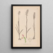 Herbier de la flore française Pl1024 - Louis Antoine Cusin — quadro incorniciato alla parete