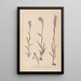 Herbier de la flore française Pl1025 - Louis Antoine Cusin — quadro incorniciato alla parete